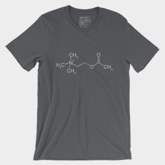 Acetylcholin Molecule T-Shirt Asphalt 3001
