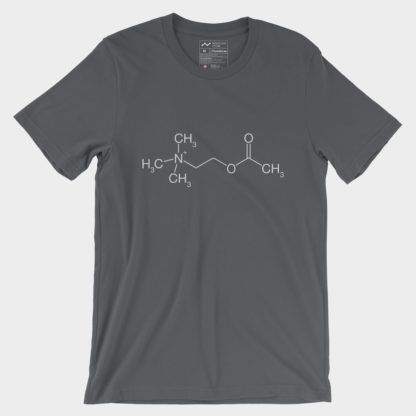 Acetylcholin Molecule T-Shirt Asphalt 3001