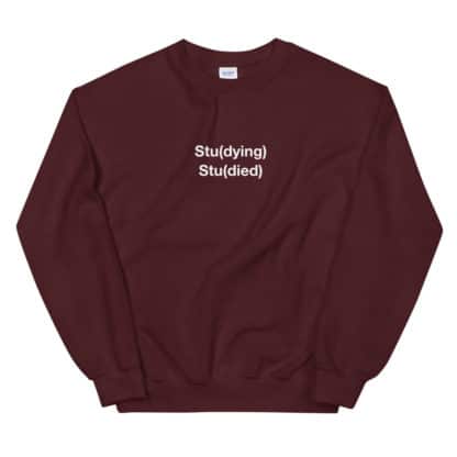 Stu(dying) Stu(died) Sweatshirt Unisex - Image 5