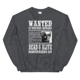 Schrödinger's Cat Wanted dead and alive sweatshirt grey