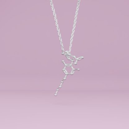 CBD molecule necklace silver 1