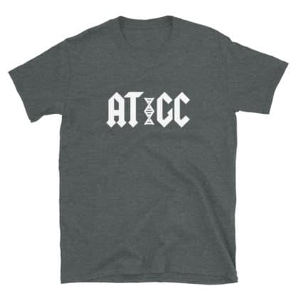 AC/DC DNA t-shirt grey
