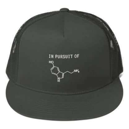 In Pursuit of Serotonin Trucker Cap Charcoal