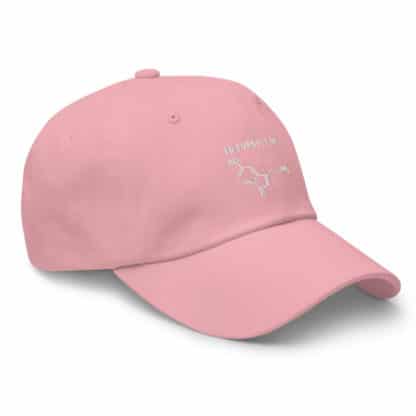 Pursuit of Serotonin Dad Hat - Image 19