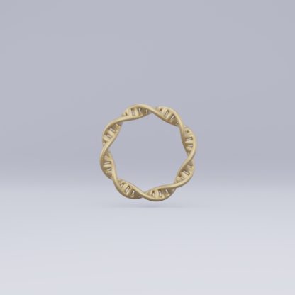 DNA double helix plasmid ring raw brass