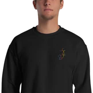 Model wearing a black sweatshirt with a rainbow embroidered LSD molecule