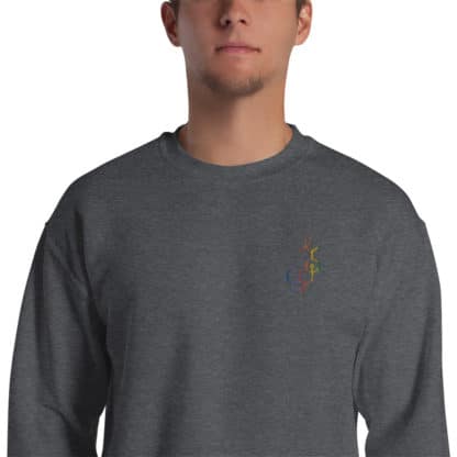 Model wearing a dark grey sweatshirt with a rainbow embroidered LSD molecule