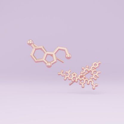 Oxytocin + serotonin ear climbers rose gold